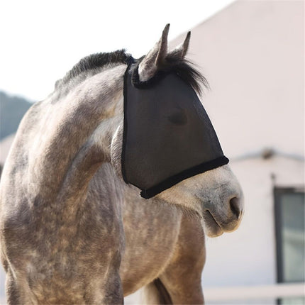 All Round Mesh Horse Fly Mask UV Protective with Padded Edging Black, Riding Equestrian Equipment for Horse