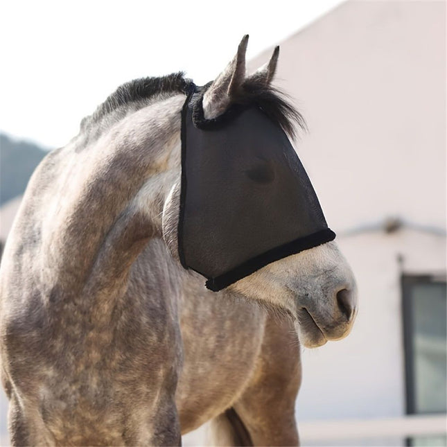 All Round Mesh Horse Fly Mask UV Protective with Padded Edging Black, Riding Equestrian Equipment for Horse