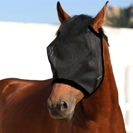All Round Mesh Horse Fly Mask UV Protective with Padded Edging Black, Riding Equestrian Equipment for Horse