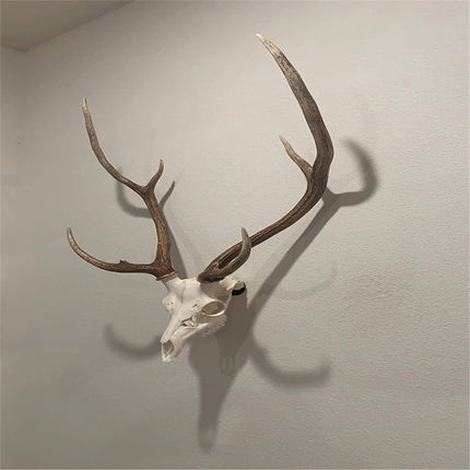 2 pack The No Show Whitetail Deer Skull Mount Hanger - No Show Design - Quickest Install - Hog Antelope Coyote bobcat Axis Small Game