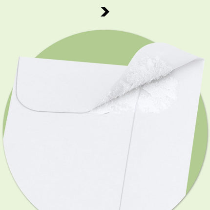 #1 Coin Envelopes Eupako 100 PCS 2.25x 3.5" White Small Parts Envelope with Gummed Flap Kraft Seed Envelopes for Garden, Home and Office