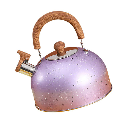 Water Kettle, Stainless Steel Whistle Kettle, Large Capacity Flat Bottom for Gas Induction, 2L, Purple