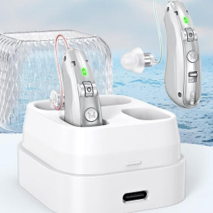 Smart Noise Reduction BTE Hearing Aid with Charging Case Rechargeable Sound Amplifier - Silver