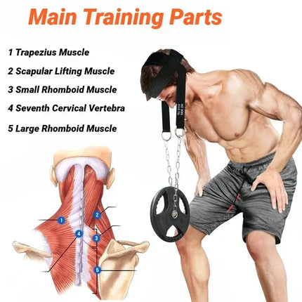 Head Neck Training Harness Exercise Cervical Spine Strap Adjustable Gym Fitness Weight Bearing Device - Blue