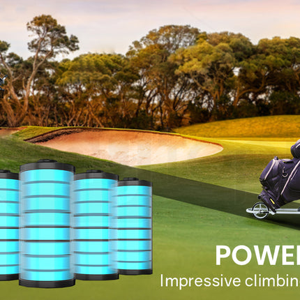 THOMSON 12V 24Ah Lithium Battery for Thomson Golf Buggy Trolley