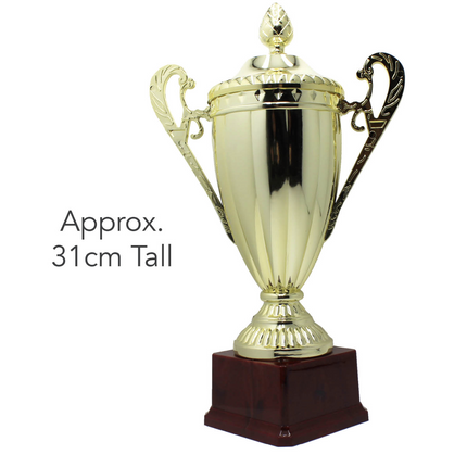 Large Classic Gold Trophy Cup Novelty Winners Prize Solid Achievement Award