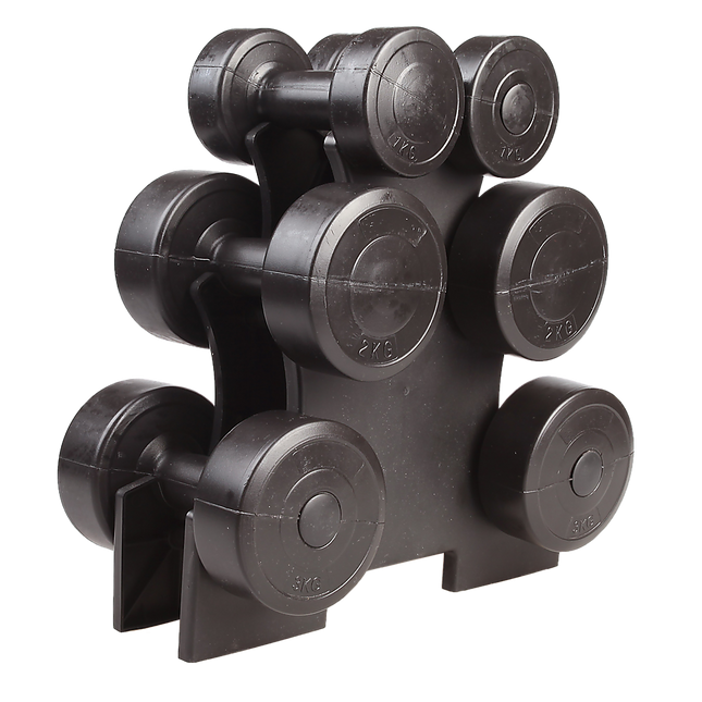 12kg Dumbbell Weights Set with Rack for Home Gym Training