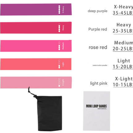 Pink 10 Pieces of 2 Sets Premium Resistance Loop Bands - Fitness Exercise Bands for Legs, Glutes, and Strength Training with Carry Bag
