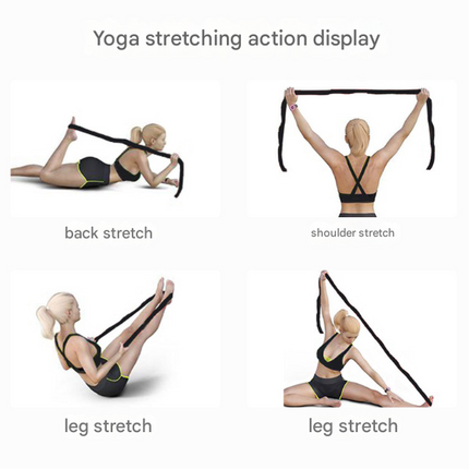 Blue and Purple 9-Loop Yoga Stretch Strap - Numbered Band for Flexibility and Physical Therapy