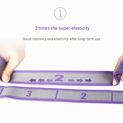 Pink and Blue 9-Loop Yoga Stretch Strap - Numbered Band for Flexibility and Physical Therapy